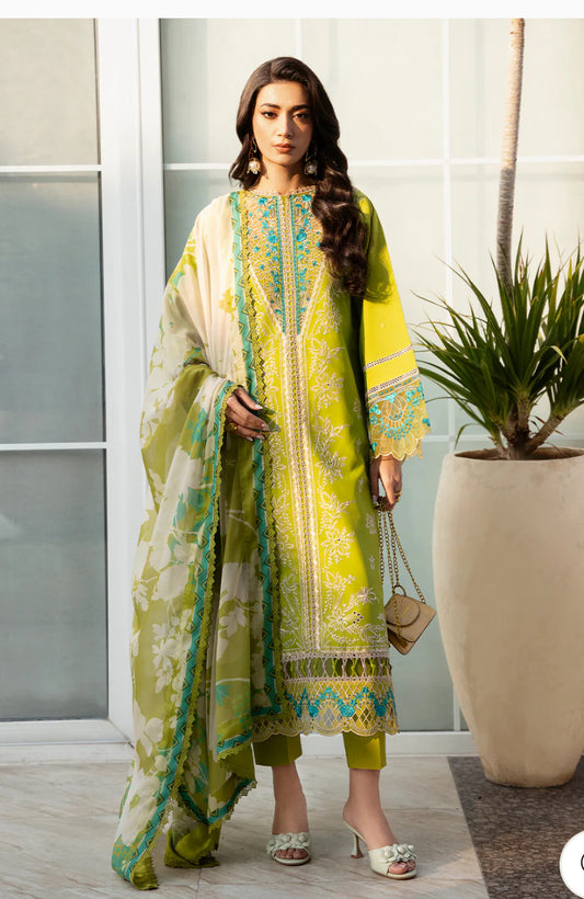 Bin ilyas Kayra Lawn / 312-B